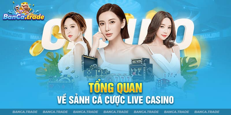 Tổng quan về sảnh cá cược live casino