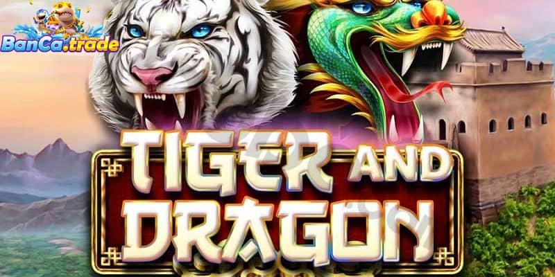 Tìm hiểu về nguyên tắc hoạt động của game chơi Dragon Tiger